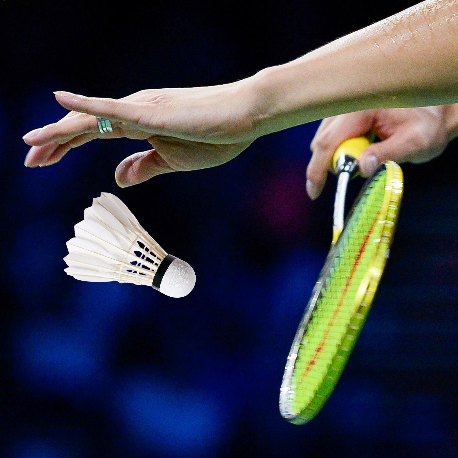 Badminton Balls 3pieces Badmin - Badminton Raket recension och pris
